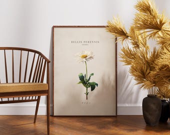 Plakat ścienny z motywem stokrotek – wystrój domu w stylu naturalnym – wydruk z motywem kwiatowym z okazji urodzin kwietnia