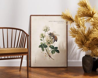 Plakat z pszczołą miodną, sztuka ścienna z pszczołami, botaniczny wystrój domu, wydruki vintage cottagecore
