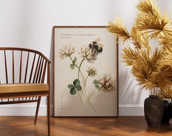Nadruk z trzmielem – grafika ścienna z pszczołami – Cottagecore Nature Decor – przytulny botaniczny nadruk z owadami