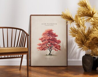 Plakat ścienny z klonem japońskim – Acer Botanical – Wystrój domu w stylu naturalnym – Vintage Tree Prints