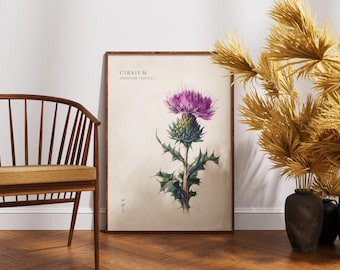 Vintage Scottish Thistle Wall Art Print - Scotland Wildflower Poster - Flora Home Decor