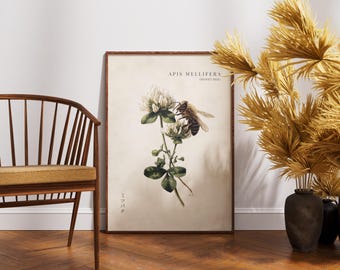 HoneyBee Wall Art - Vintage Botanical Poster - Nature Home Decor Print - Gift For Bee Lover