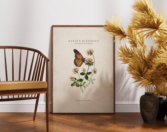 Plakat ścienny z motylem monarchą – plakat z motylem w stylu vintage – wystrój domu w stylu naturalnym – ilustracja botaniczna przedstawiająca owada
