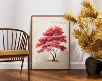 Plakat ścienny z klonem japońskim – Acer Botanical – Wystrój domu w stylu naturalnym – Vintage Tree Prints