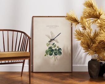 Sztuka ścienna z ważką, plakat z botanicznym motywem ważki, wystrój wnętrz Cottagecore, wydruki vintage