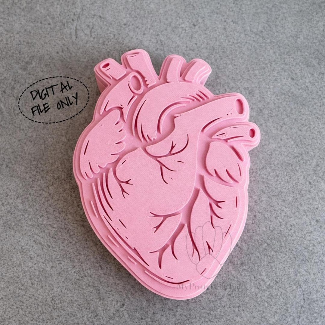 Anatomical Heart Box STL File – 3D Printable Trinket Box (digital ...