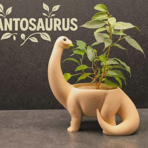 Dinosaur Planter - Adorable Indoor Pot for Flowers, Plants, Decor