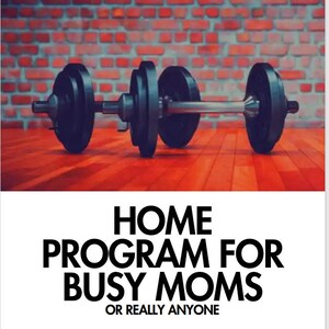 Pode incluir: Um haltere preto com discos de peso está centrado num chão de madeira vermelho, contra uma parede de tijolos. O texto "12 WEEK DUMBBELL ONLY" está no topo. Abaixo, o texto diz "HOME PROGRAM FOR BUSY MOMS OR REALLY ANYONE" e "Liz Davis".