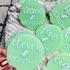 Baby Boy Announcement and Month Markers Acrylic Rounds Painted Back Baby Photo Prop image 6