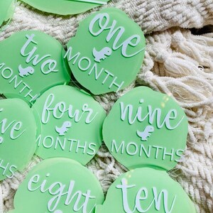 Baby Boy Announcement and Month Markers Acrylic Rounds Painted Back Baby Photo Prop image 3