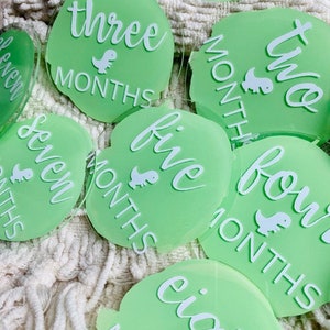 Baby Boy Announcement and Month Markers Acrylic Rounds Painted Back Baby Photo Prop image 5