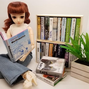 1:3 Scale NEW Mini Hardcover Books with blank pages, Text Book, Coffee Table Books for 18 inch doll, 14 inch Doll, BJD Doll  (Ready to Ship)