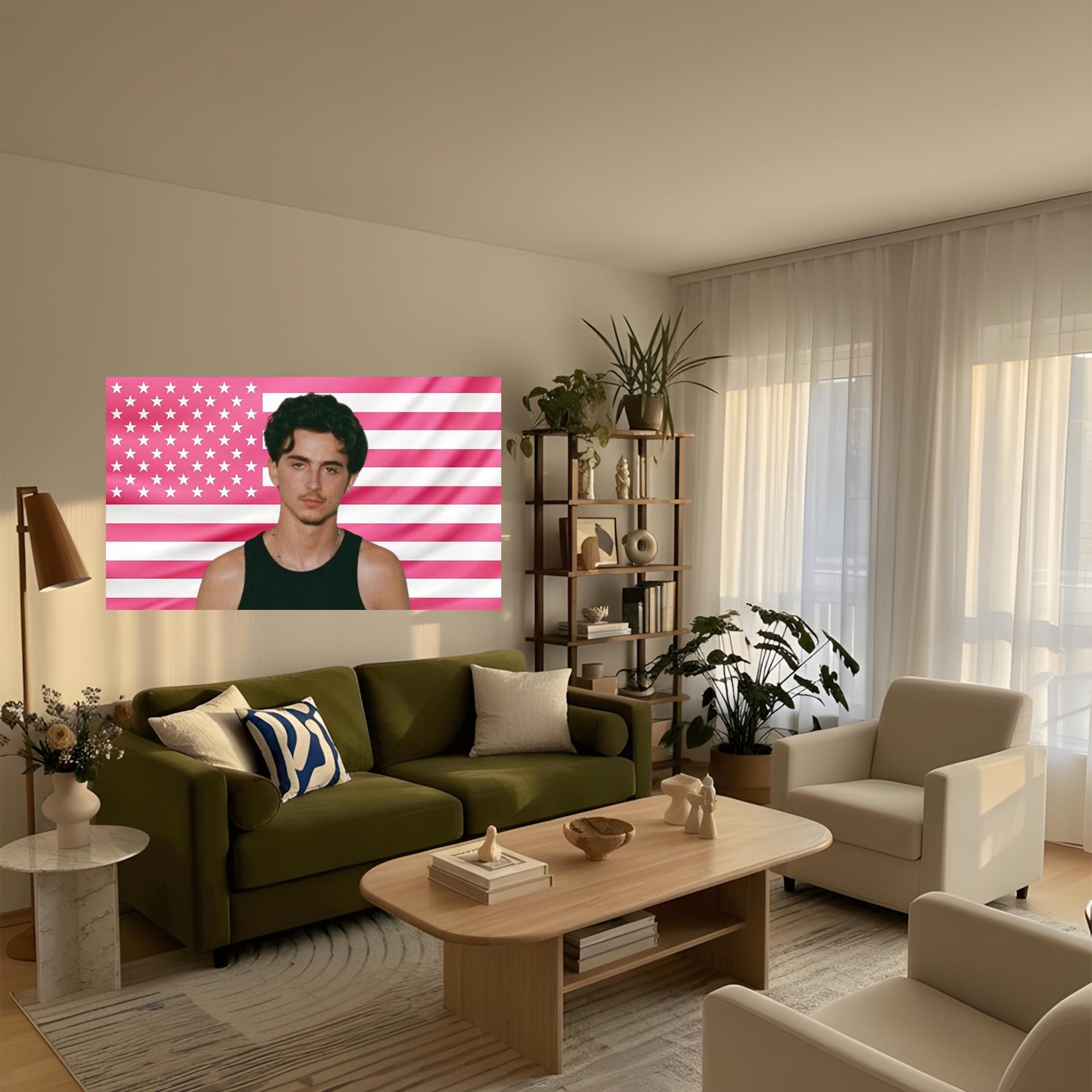 Timothée Chalamet Pink American Flag Tapestry – Aesthetic Wall Art ...