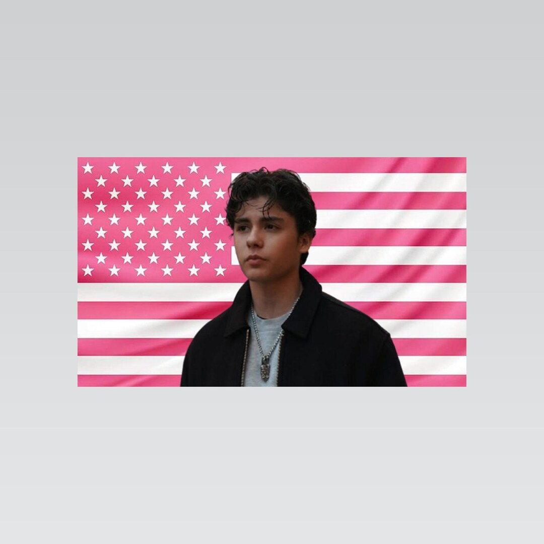 Miguel Mora Pink American Flag Tapestry – Aesthetic Wall Art – Bedroom ...