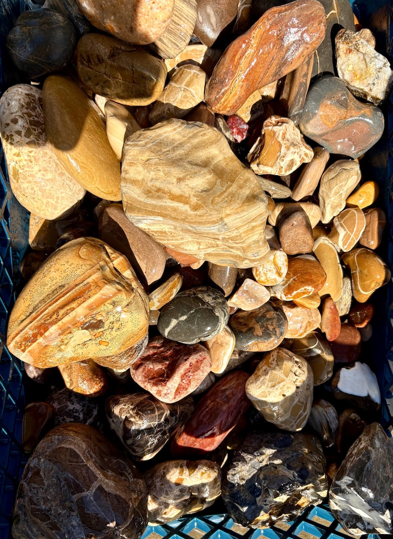Rusty Reddis Beach Rocks RESTOCK ALERT! Rancho Palos Verdes, CA Beach Rocks, Tumbling Stones ...