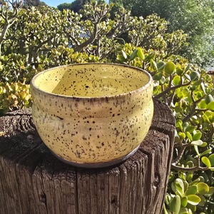 Vaso in argilla nera modellato a mano con smalto giallo – Vaso in ceramica per piante grasse