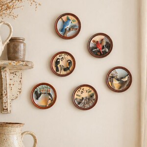 May include: A set of small, circular decorative plates with brown frames, each displaying a different bird illustration. The plates are hung on a cream wall. A rustic jug and a bowl of treats are on a wooden table below.