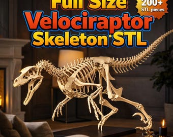 Velociraptor Skelett STL - 200+ Stück Dinosaurier Fossilien (Digitaler Download)