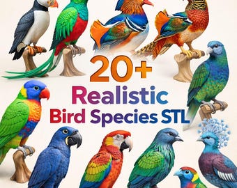 20+ Realistic Bird Species STL Files – Multi-Color 3MF Models (Digital Download)