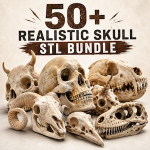 Puede incluir: Una colección de varios cráneos humanos y de animales de color blanco hueso y texturizados dispuestos juntos. El texto 50+ REALISTIC SKULL STL BUNDLE aparece en letras de color marrón oscuro en la parte superior, indicando un conjunto de archivos.