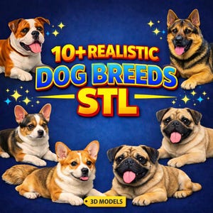 STL-bundel realistisch hondenras | 3D-afdrukbare hondensculpturen (digitale download)