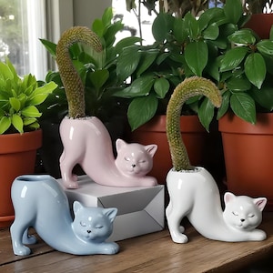 Könnte beinhalten: Eine Sammlung von katzenförmigen Keramik-Pflanzgefäßen in Pastellfarben: Hellblau, Rosa und Weiß. Jeder Pflanztopf enthält eine Kaktuspflanze. Die Katzen befinden sich in einer Dehnpose mit geschlossenen Augen und schaffen ein skurriles und dekoratives Objekt.