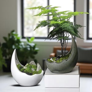 Könnte beinhalten: Zwei dekorative Keramik-Pflanzgefäße in Halbmondform. Eines ist weiß und mit Moos und Steinen gefüllt. Das andere ist graugrün und enthält einen kleinen Baum mit grünen Blättern. Beide stehen auf einer weißen Oberfläche.