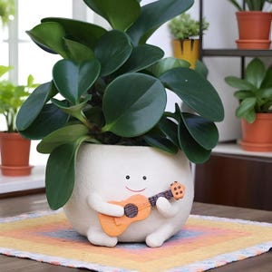Puede incluir: Una maceta de cerámica blanca con una cara sonriente y brazos y piernas, sosteniendo una pequeña guitarra naranja. La maceta contiene una planta verde con hojas grandes y redondas. Otras plantas en macetas son visibles en el fondo.
