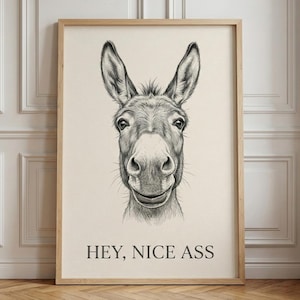 May include: A framed black and white pencil drawing of a donkey's face. The artwork includes the text "HEY, NICE ASS" in a bold, sans-serif font at the bottom. The artwork is displayed in a light-colored wooden frame.