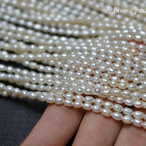 genuine seeds prarl 3.8-4mm X 5-5.7mm Rice pearl Freshwater pearl loose pearls Rice pearl necklace bead White Full Strand PL6233
