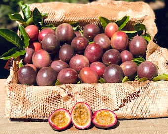 Fresh California Farm to Table Passion Fruit Box - Purple, Sustainable, Fair Trade