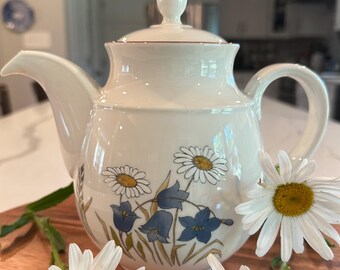 Vintage Royal Kent Staffordshire England Teapot / Daisy & Bluebell / 1960s
