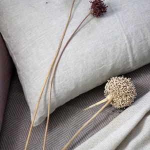 Natural Linen Pillow Case