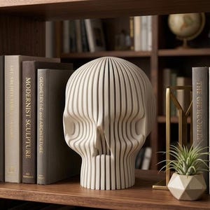 Könnte beinhalten: Eine dekorative, cremefarbene Totenkopfskulptur mit vertikalen Linien, auf einem Holzregal ausgestellt. Bücher mit Titeln wie "Modernist Sculpture" und "Anatomy & Art" sind zu sehen. Eine kleine Pflanze in einem geometrischen Topf und ein Messingobjekt sind ebenfalls vorhanden.