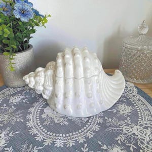 May include: A white ceramic lidded container shaped like a conch shell with a textured, bumpy surface and a glossy, iridescent finish. The shell features a spiral design with a pointed end and a wide, flared opening, serving as a decorative vessel.
