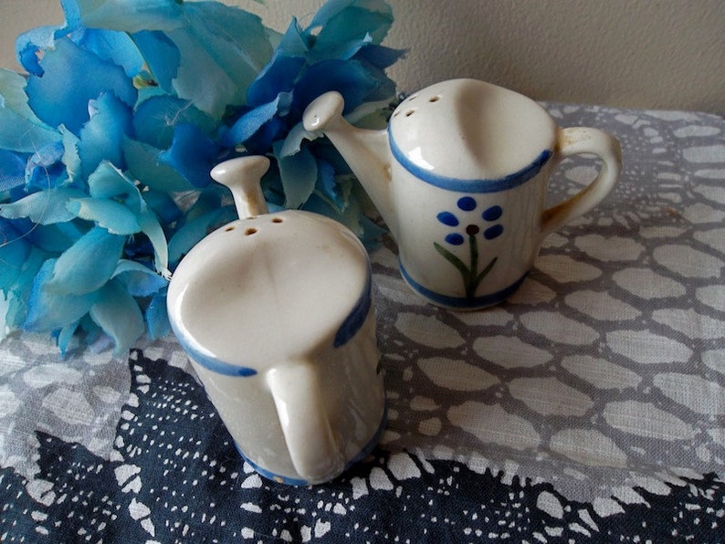 Salt and Pepper Shakers WATERING CANS Vintage Mid Century 50s Collectible Set with Blue Flowers Gardening Gift