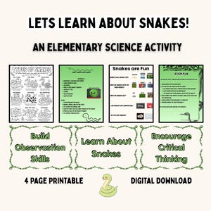 May include: A four-page printable digital download titled LETS LEARN ABOUT SNAKES! AN ELEMENTARY SCIENCE ACTIVITY. It includes a types of snakes colouring sheet, a paper plate craft guide, a fun facts page, and a lesson plan with snake illustrations.