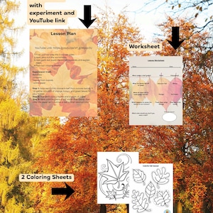 May include: An educational set including a lesson plan with a YouTube link, a leaves worksheet with questions about chlorophyll and autumn, and two black and white coloring sheets featuring various leaf outlines for children to color.