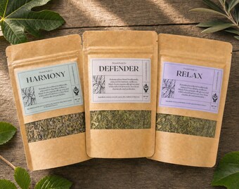 Seasonal Wellness Tea Bundle | Botanical Tea Gift Set