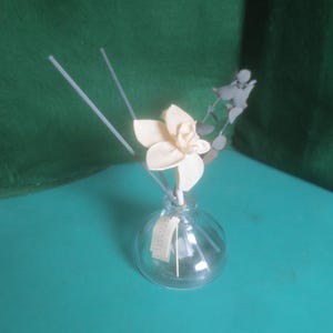 May include: A clear glass diffuser bottle with a cream-coloured flower and grey reeds. The bottle sits on a teal surface against a green backdrop. Decorative sprigs of grey leaves add to the floral arrangement.