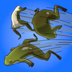May include: Illustration of three cartoon frogs in mid-air against a blue background. The frogs are various shades of green and white, with black outlines and orange eyes. Motion lines suggest movement.