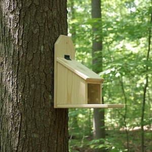 May include: A wooden squirrel feeder attached to a tree trunk in a forest setting. The feeder has a sloped roof, a clear front panel, and a small feeding platform. The natural wood color blends with the tree.