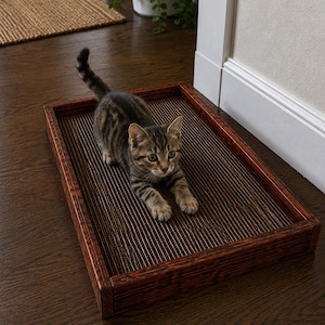 May include: A small tabby kitten with brown and black stripes is positioned on a rectangular cat scratcher. The scratcher features a dark brown wooden frame and a textured, corrugated cardboard surface designed for scratching and lounging.