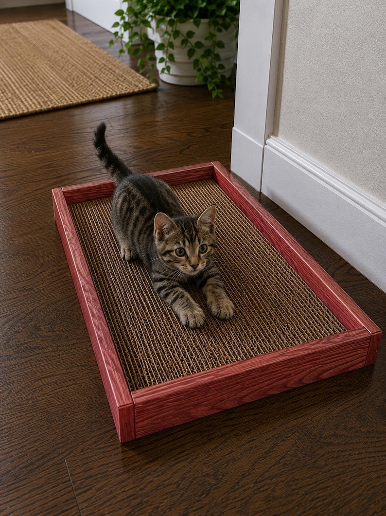 May include: A rectangular cat scratcher featuring a textured brown corrugated cardboard surface framed by a deep red stained wooden border. A small brown and black tabby kitten is positioned on the center of the scratcher with its front paws extended.