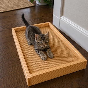 May include: A rectangular light-colored wooden tray featuring a textured, ribbed interior surface. A small, grey and black tabby kitten with dark stripes is positioned inside the tray, resting its front paws on the textured base.