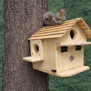 May include: A wooden birdhouse with a light brown finish is mounted on a tree trunk. The birdhouse has a gabled roof, two circular entry holes, and small perches. A gray squirrel sits on the roof.