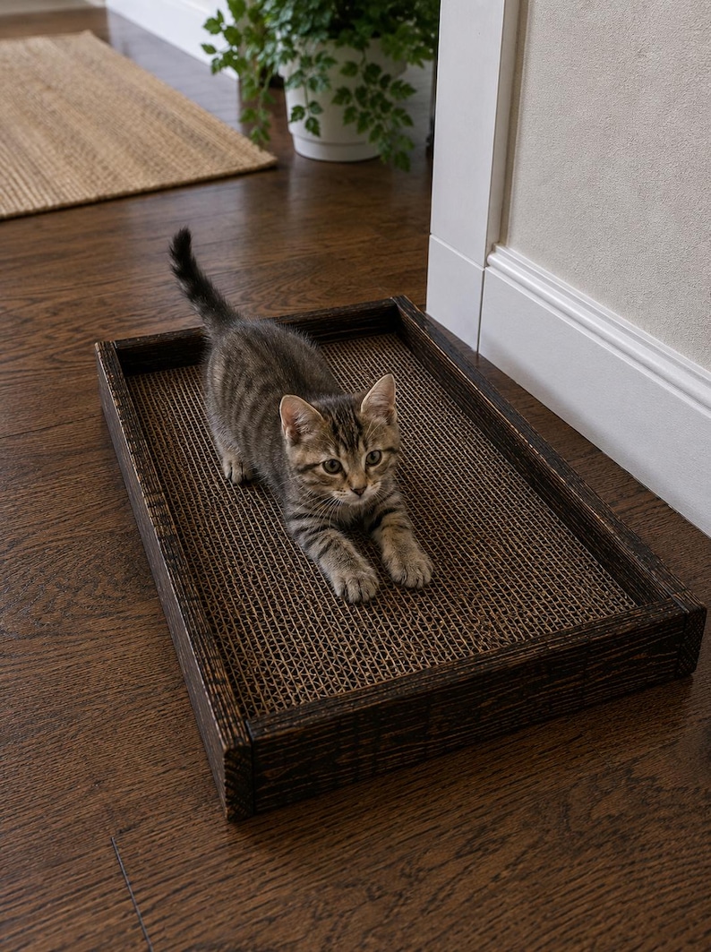 May include: A rectangular cat scratcher featuring a dark brown stained wooden frame and a textured corrugated cardboard surface. A small brown tabby kitten with dark stripes is positioned on the scratcher, stretching its front paws forward.