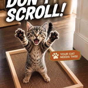 May include: A rectangular wooden cat scratcher with a corrugated cardboard surface. A tabby kitten stands on the scratcher with paws raised. Text reads: WAIT! DON'T SCROLL!, YOUR CAT NEEDS THIS!, HAPPY SCRATCHER, and HANDMADE IN USA.