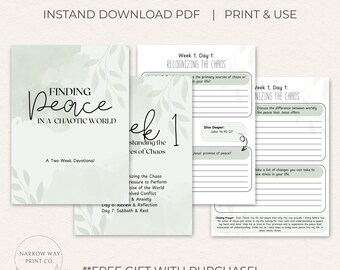 Peace & Anxiety Bibelarbeit - 14-Tage Schriftenblatt (PDF-Download)