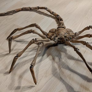 May include: A detailed sculpture of a creature with a segmented body and multiple articulated legs. The sculpture is a light brown color, with a long, segmented tail extending from the body. The legs are positioned to give the impression of movement.